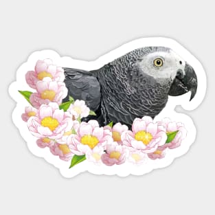 Gray parrot Sticker